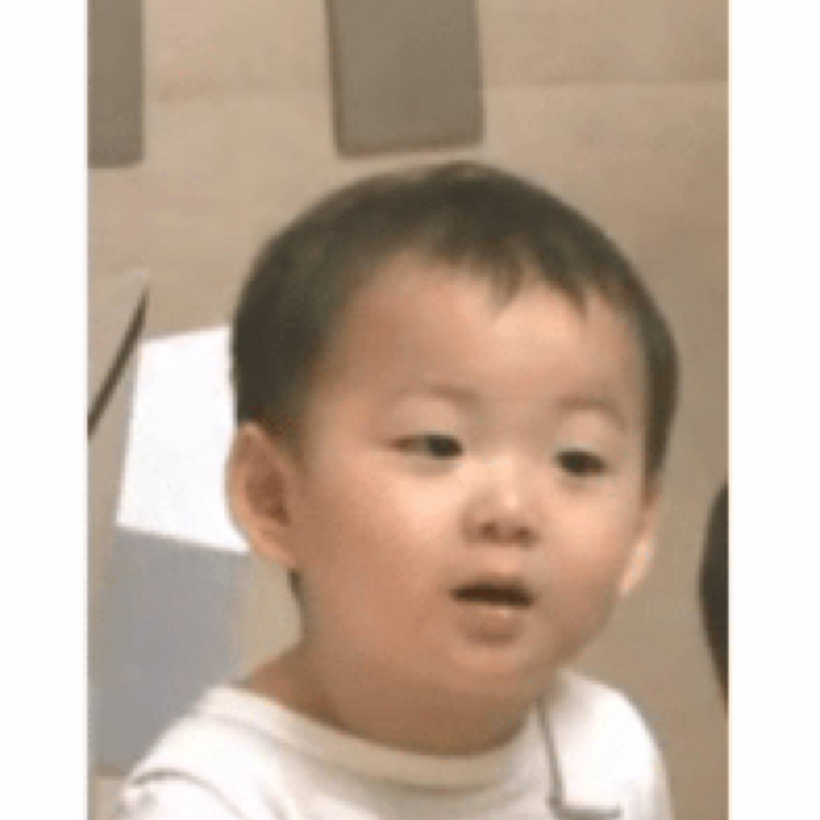 陈先生o的照片