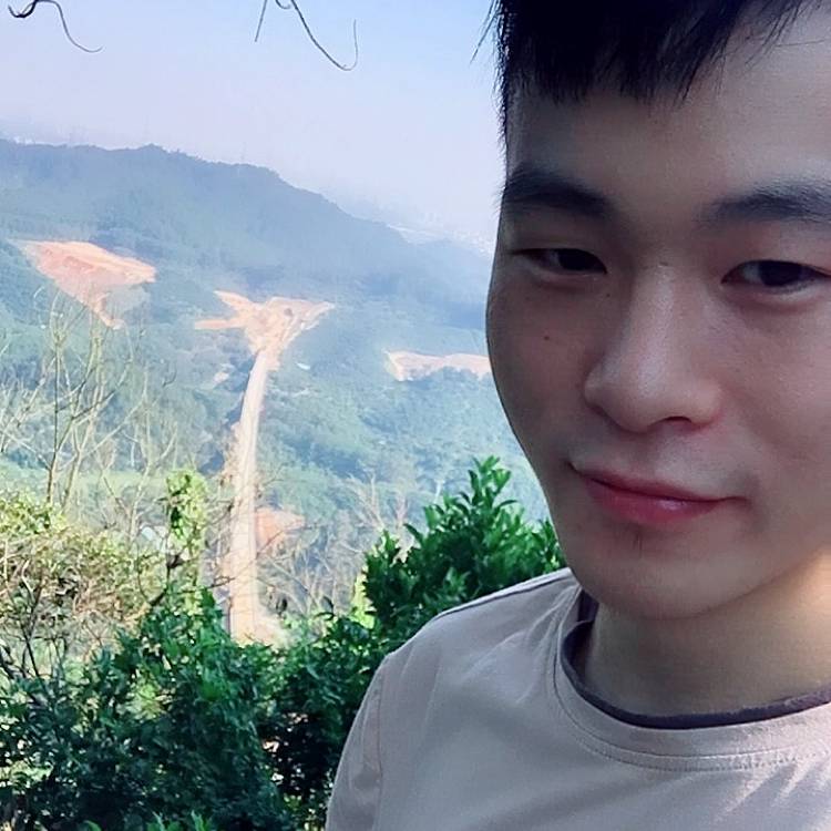 逐风向烂漫的照片
