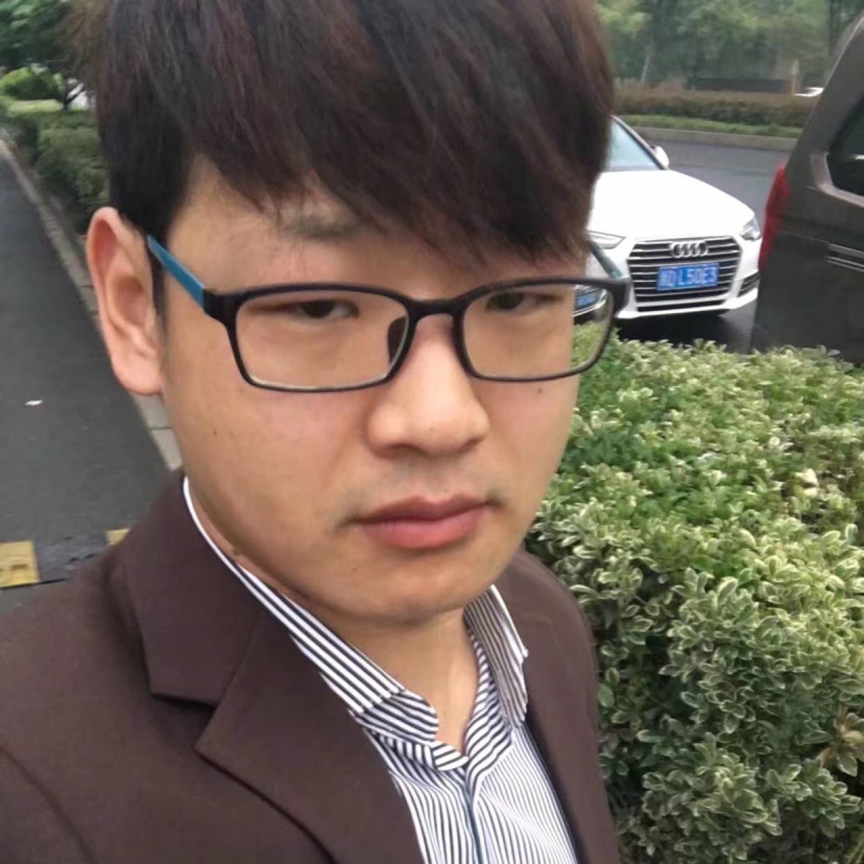 小蝴蝶漫步孝顺的照片