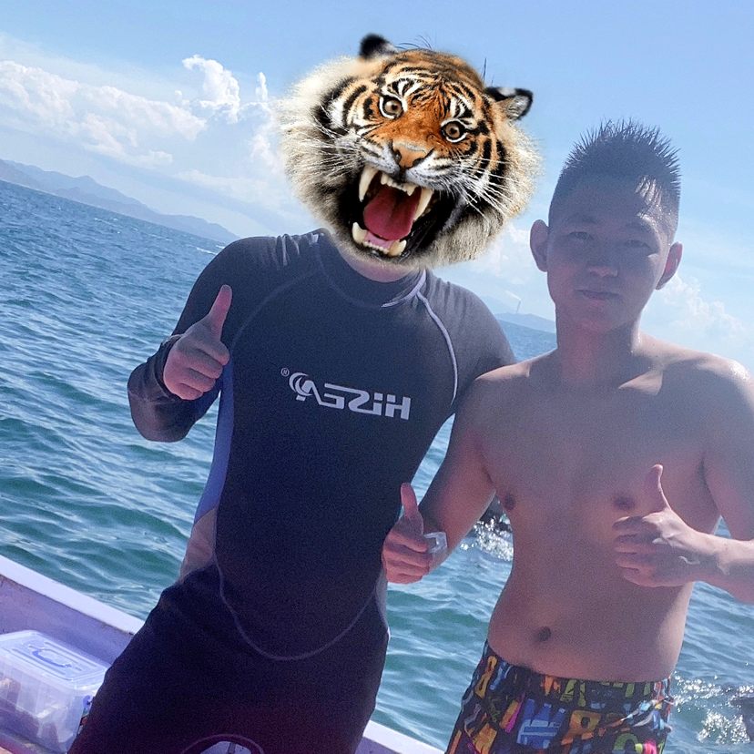 伏特加长岛冰茶的照片