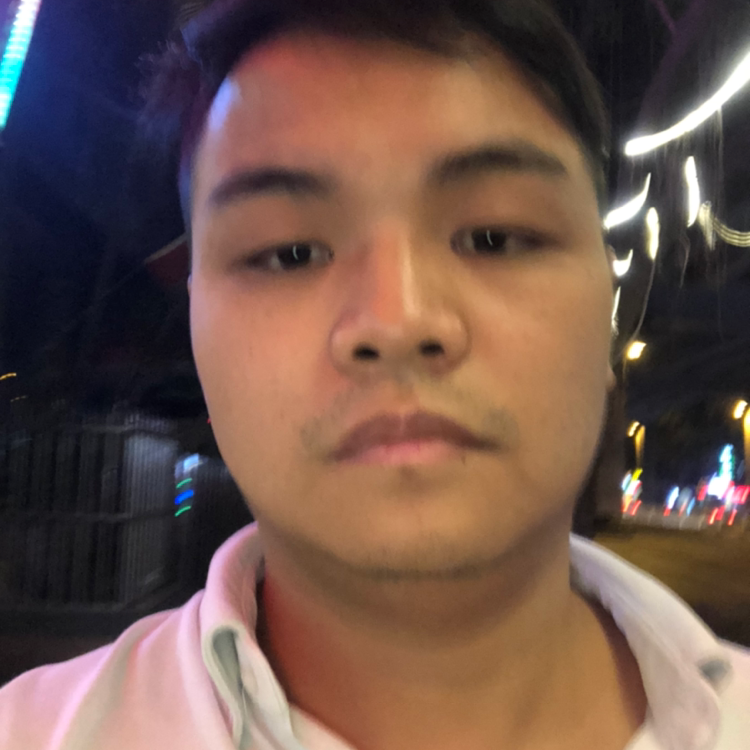 龙猫受伤的照片