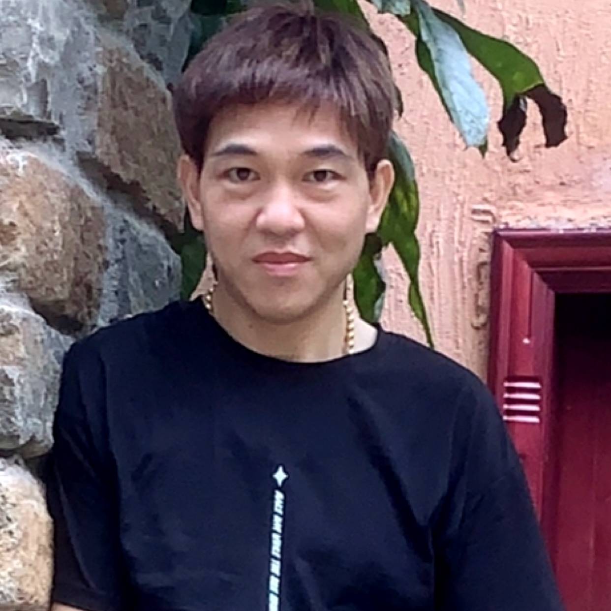 我们的倾心森槿的照片