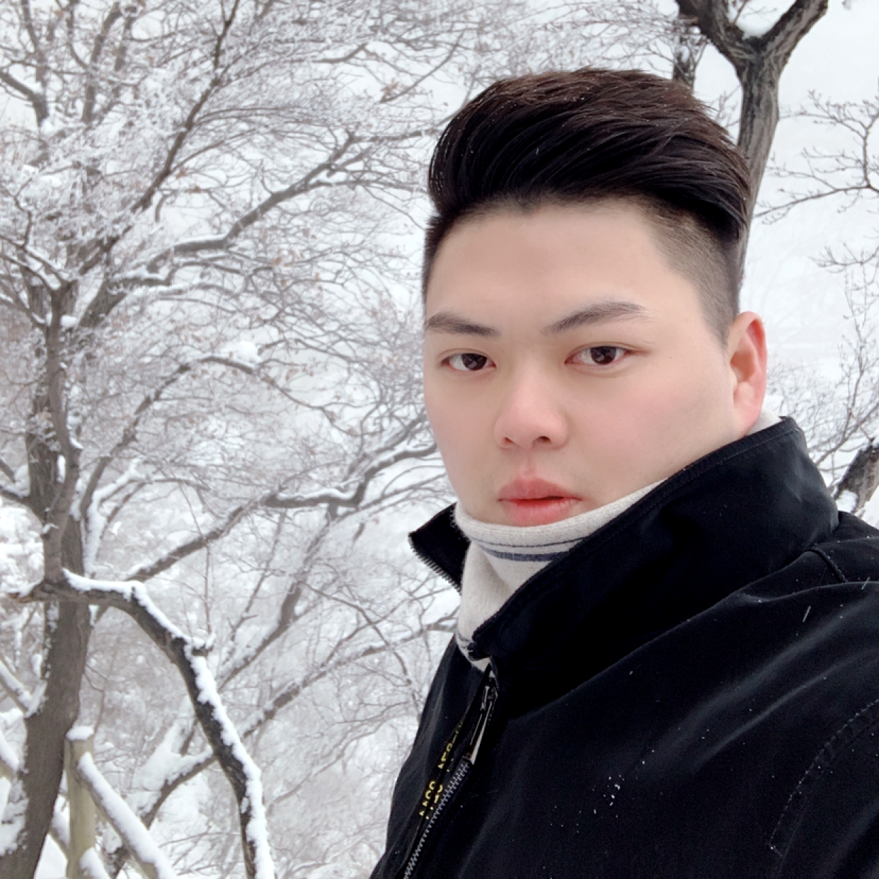 开朗吃醋乐曲的照片