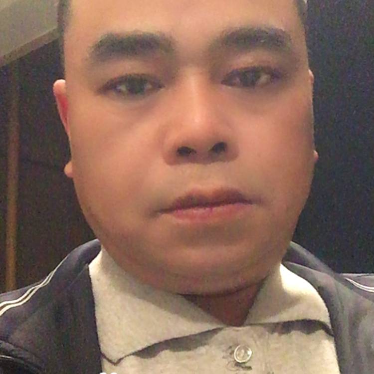 安静等待寒风的照片