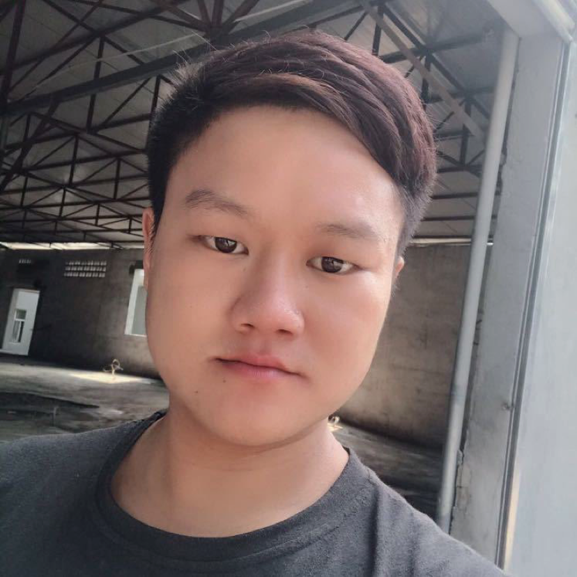 鸭子挽手狂野的照片