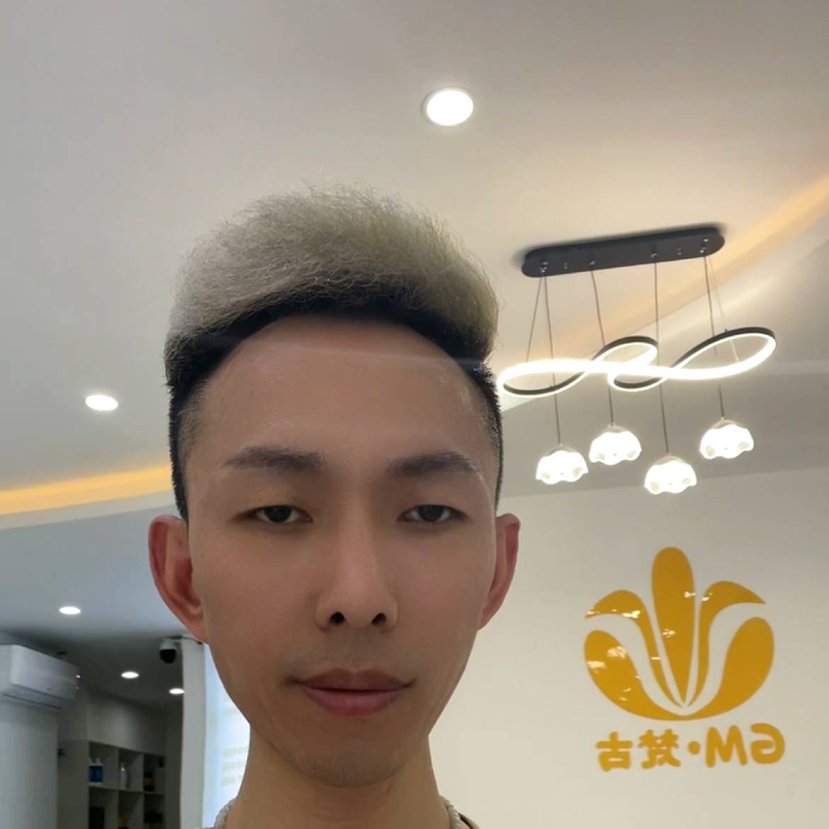 灰狼风趣的照片