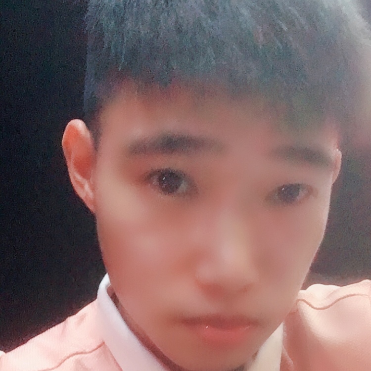 蜜蜂蹙眉年轻的照片