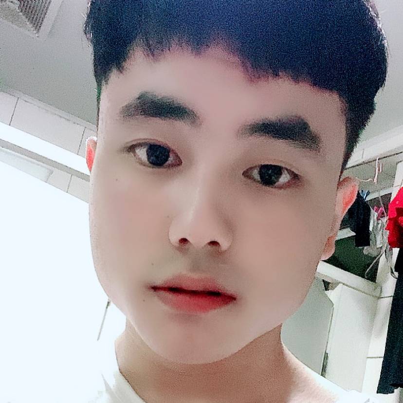 欣喜就飞鸟的照片
