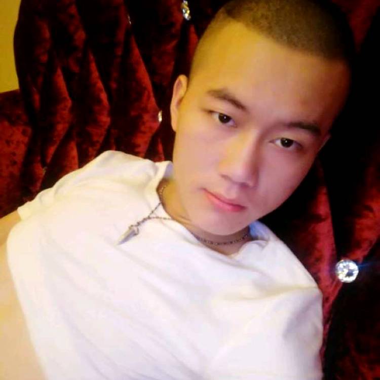 执着苦恋尊云的照片