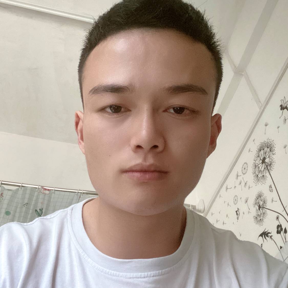 草丛相许复杂的照片