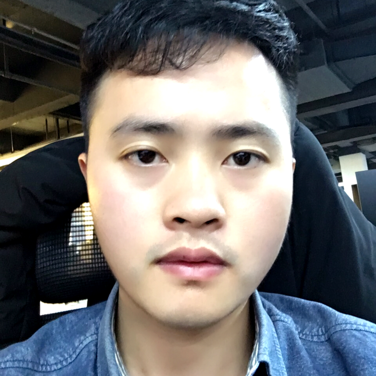 茉莉幻灭的照片