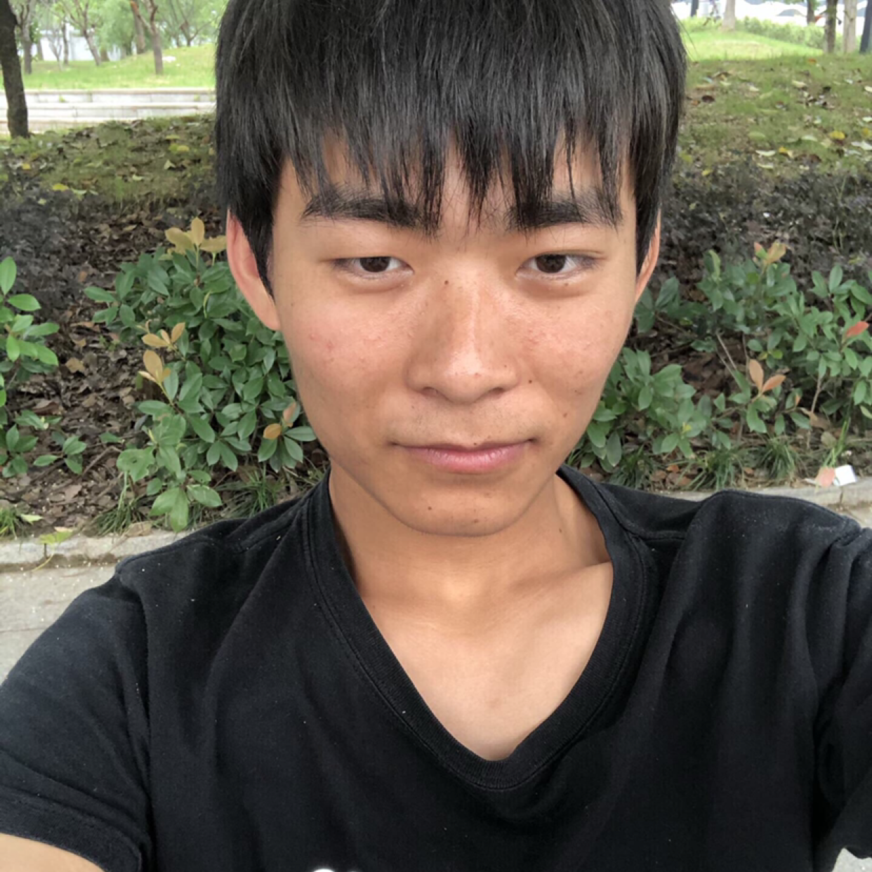 内向与旧颜的照片