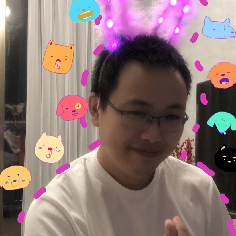 酷酷方鸵鸟的照片