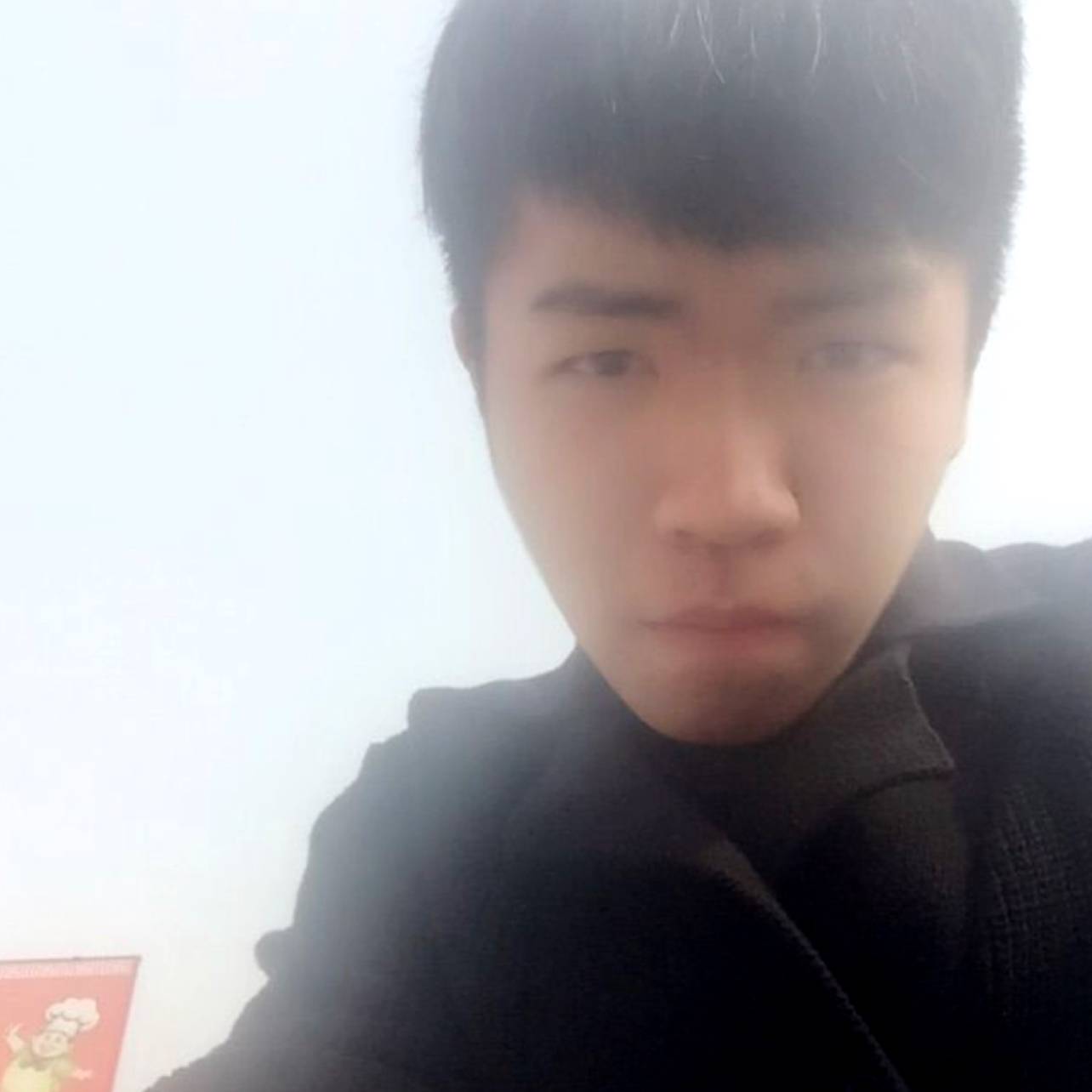 树教练的照片