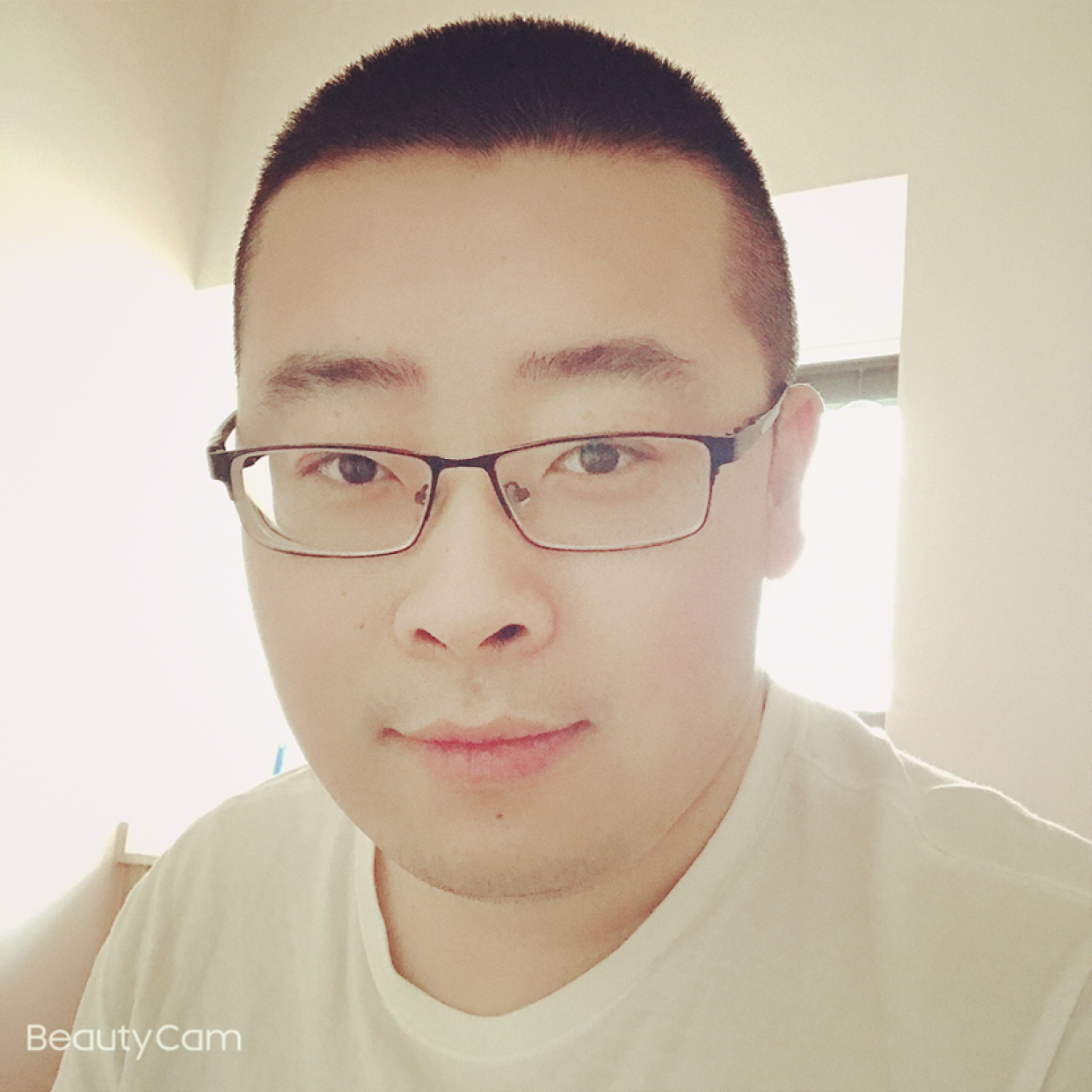 阳光扯飞鸟的照片