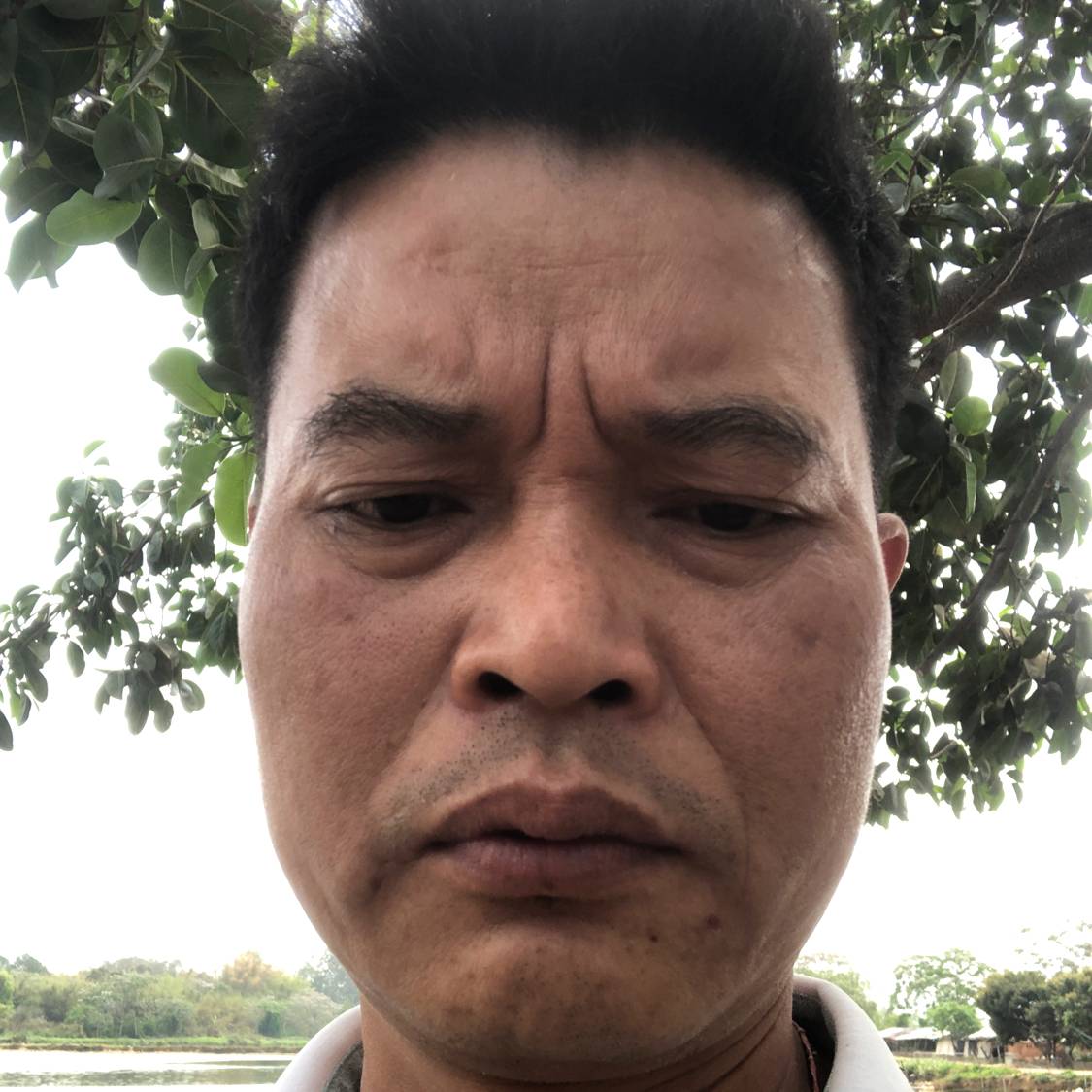 鱼笑彩色的照片