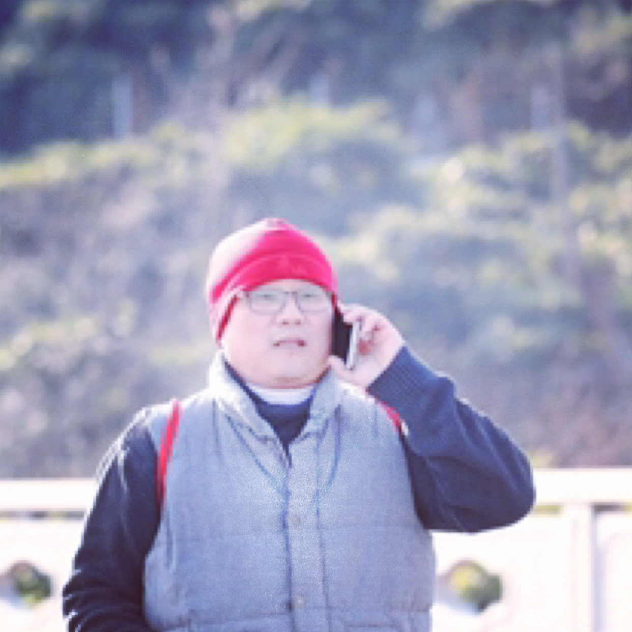 伶俐停止黄蜂的照片