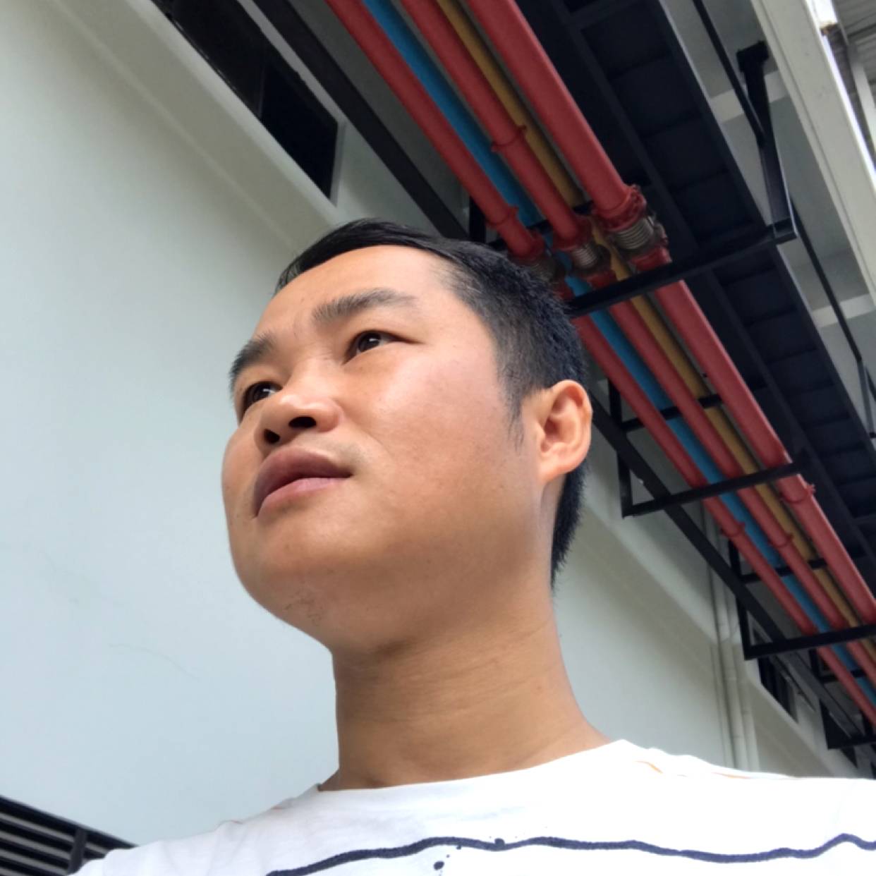 狼也有情的照片