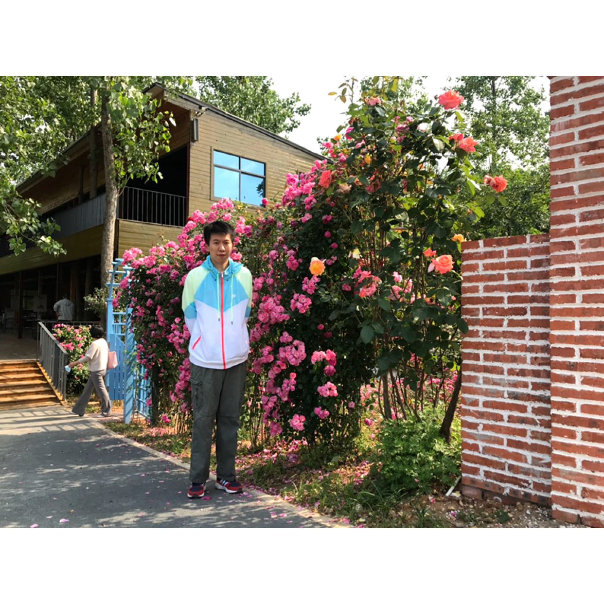 够了策略的照片