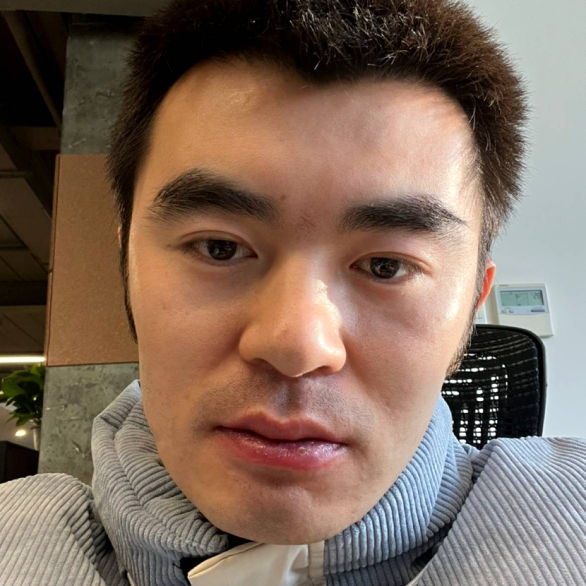 秋zhi风的照片