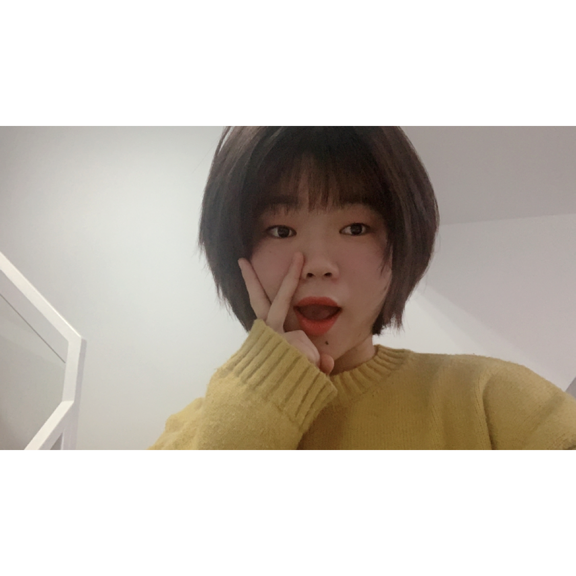 想要流浪的尼莫的照片