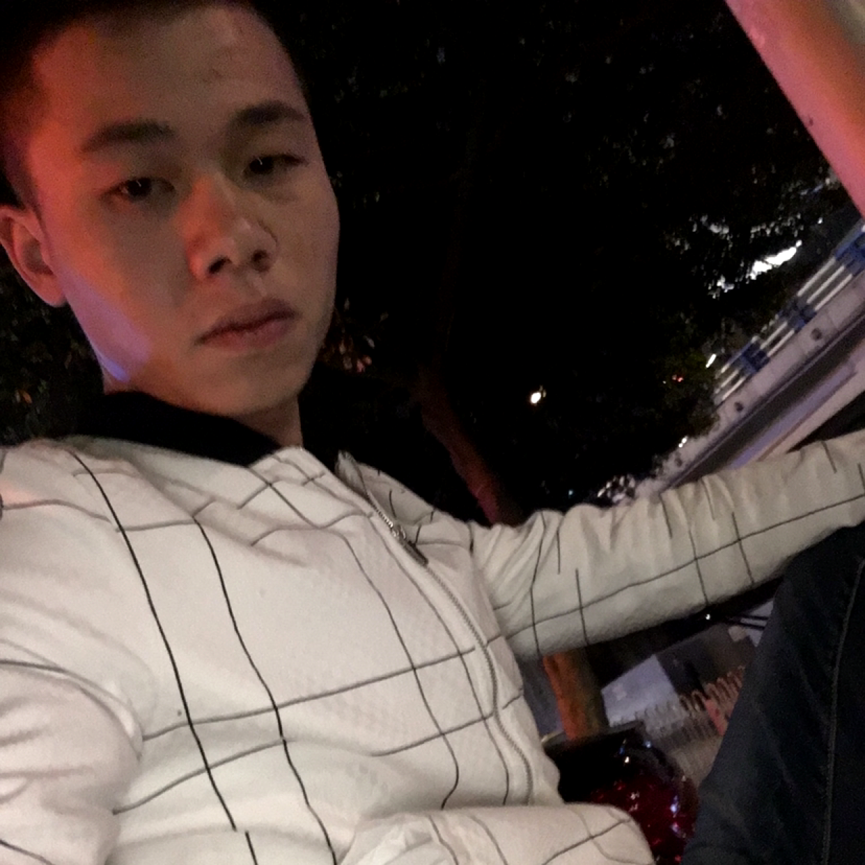 能干笑灰狼的照片