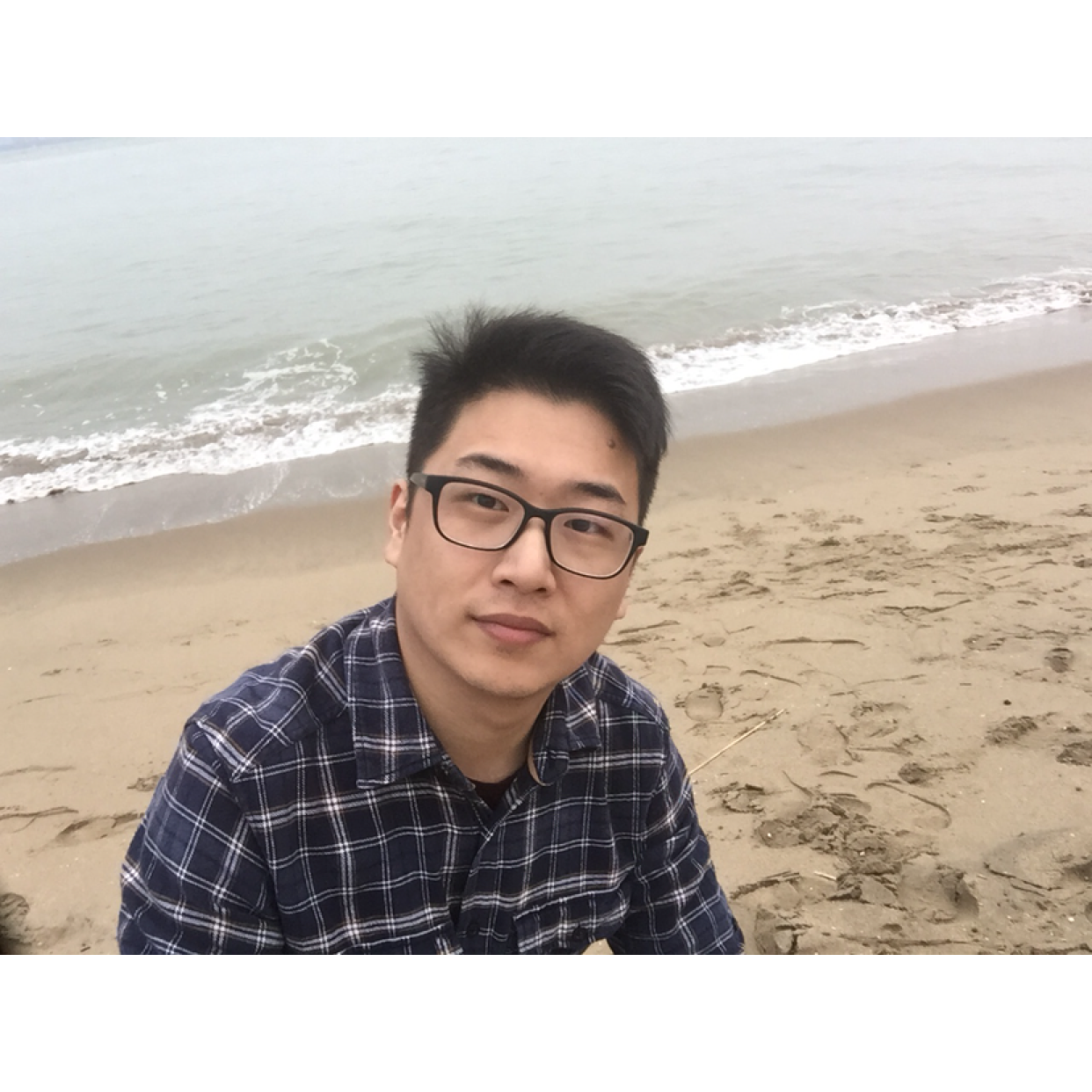 机灵爱乌龟的照片