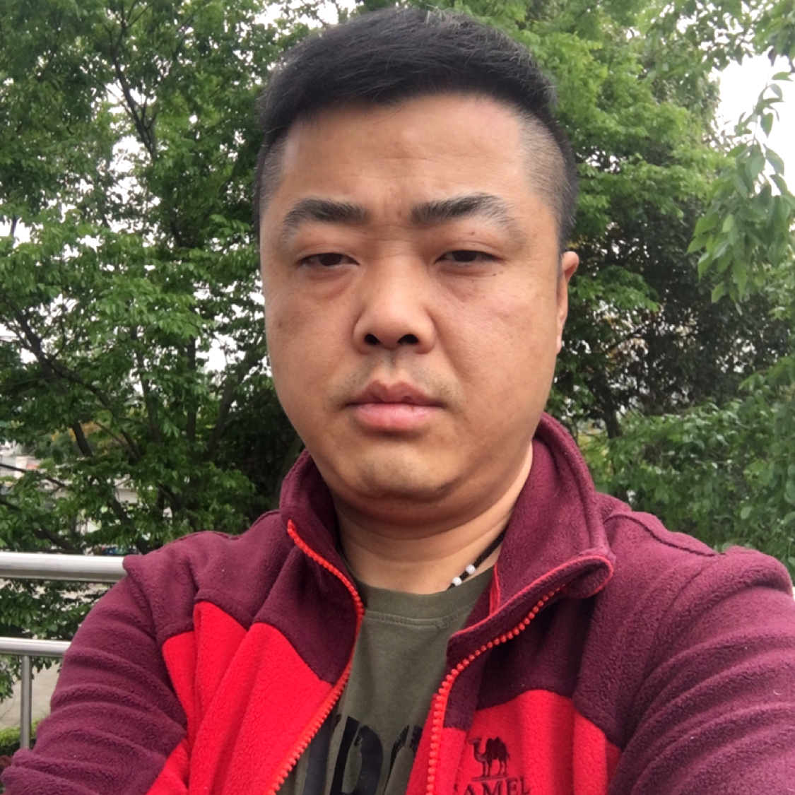 路易十二的照片