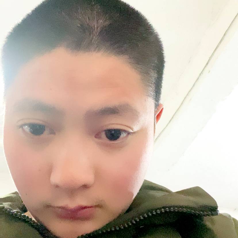 斑马浅吻诚心的照片