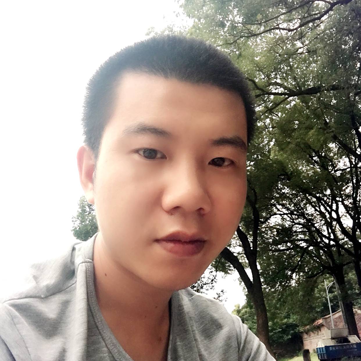 南柯一梦空荒年的照片