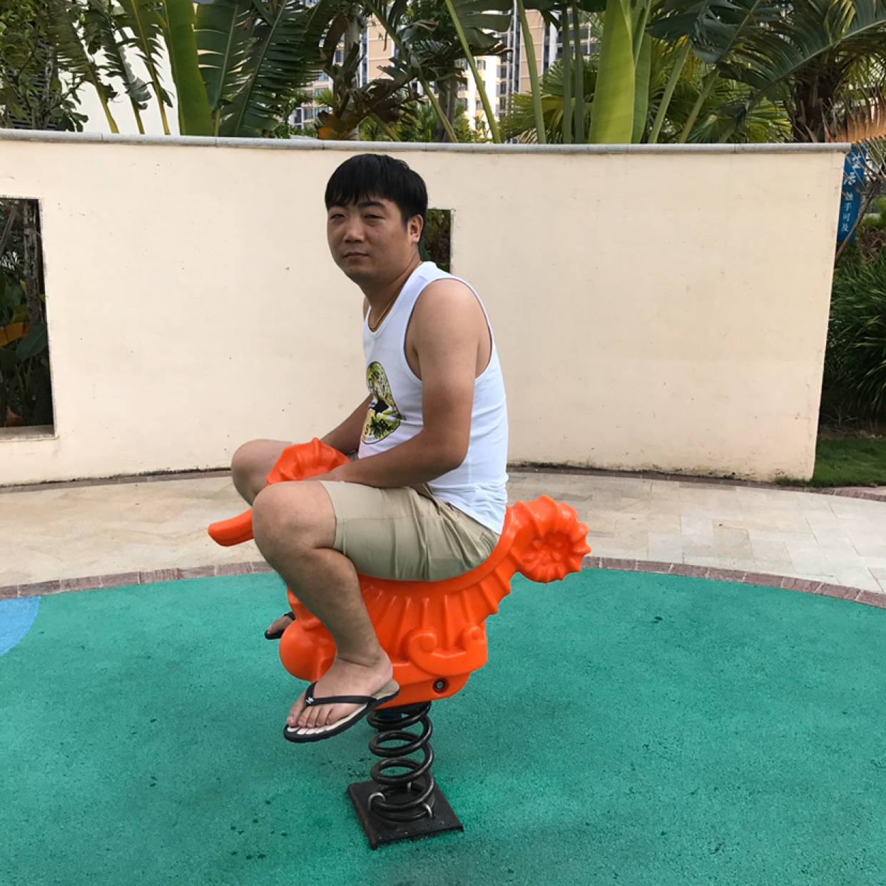 晒太阳的鱼儿的照片