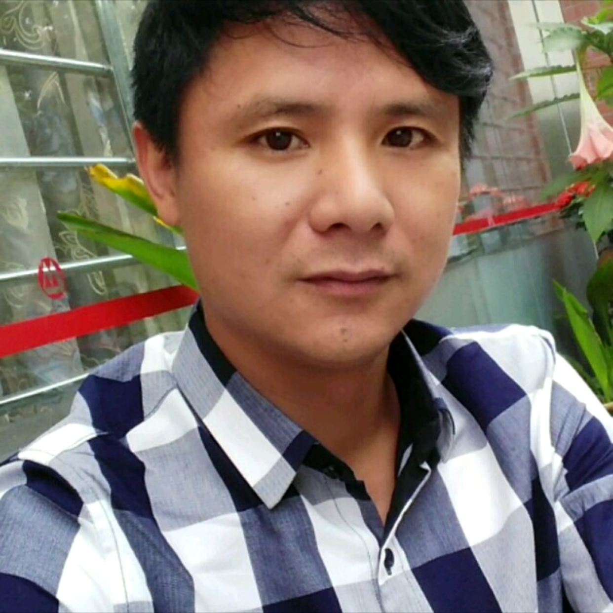 冬日直率的照片