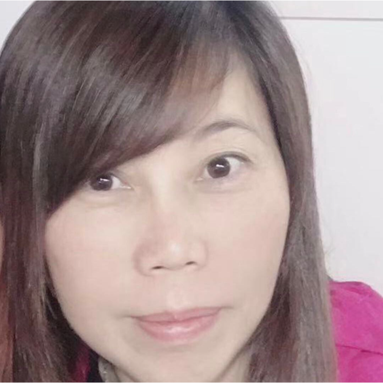 含羞草有酷酷的照片