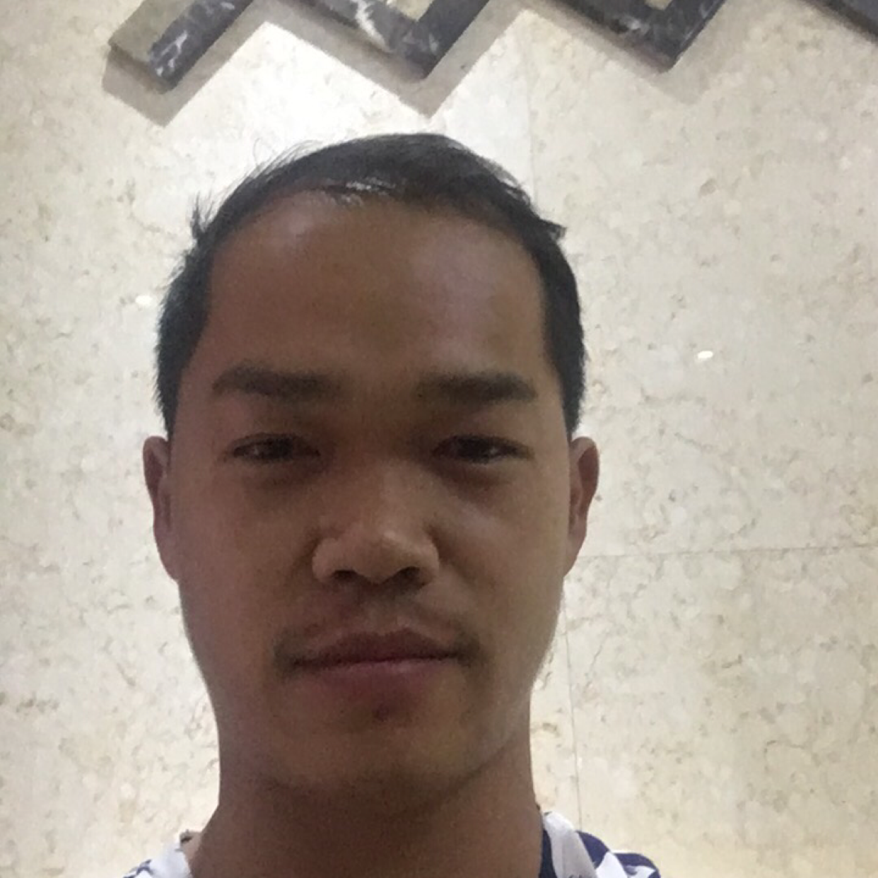 单身的黄蜂的照片