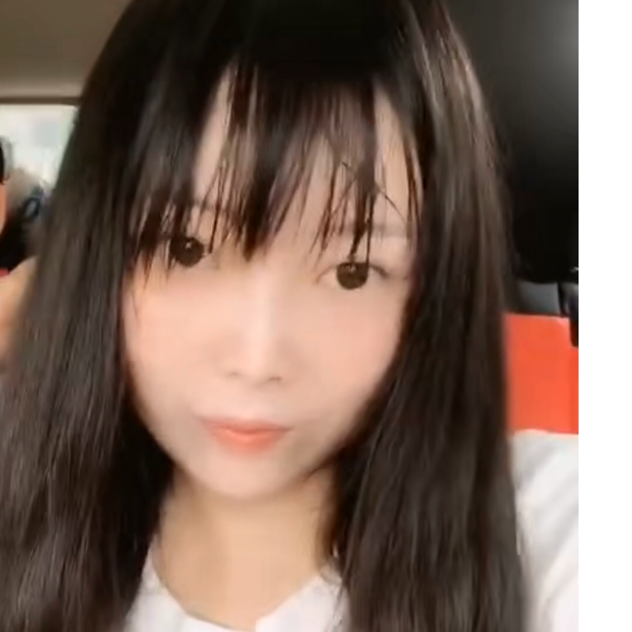 北北兔的照片