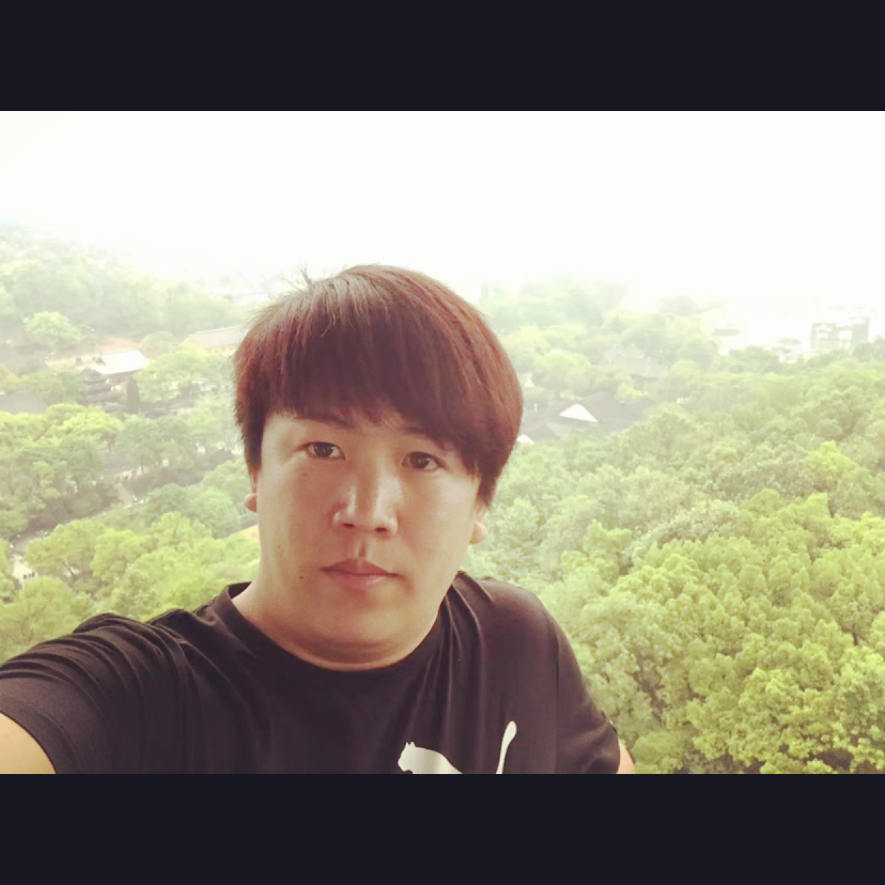 树叶轻松的照片