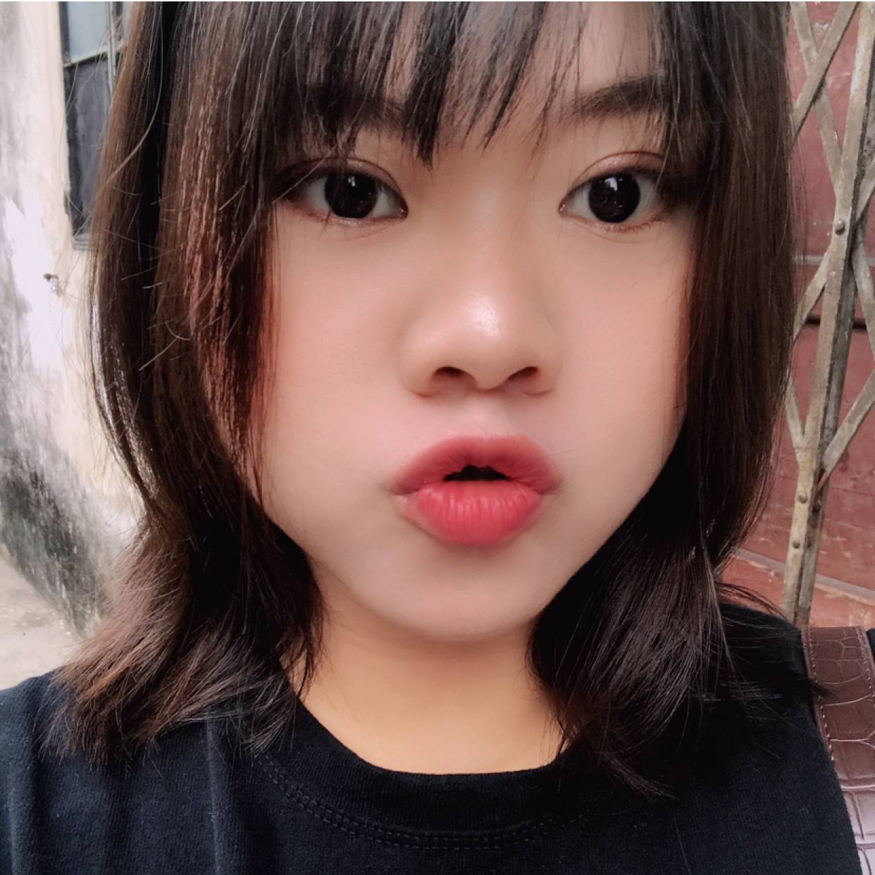 饱满与黑猫的照片