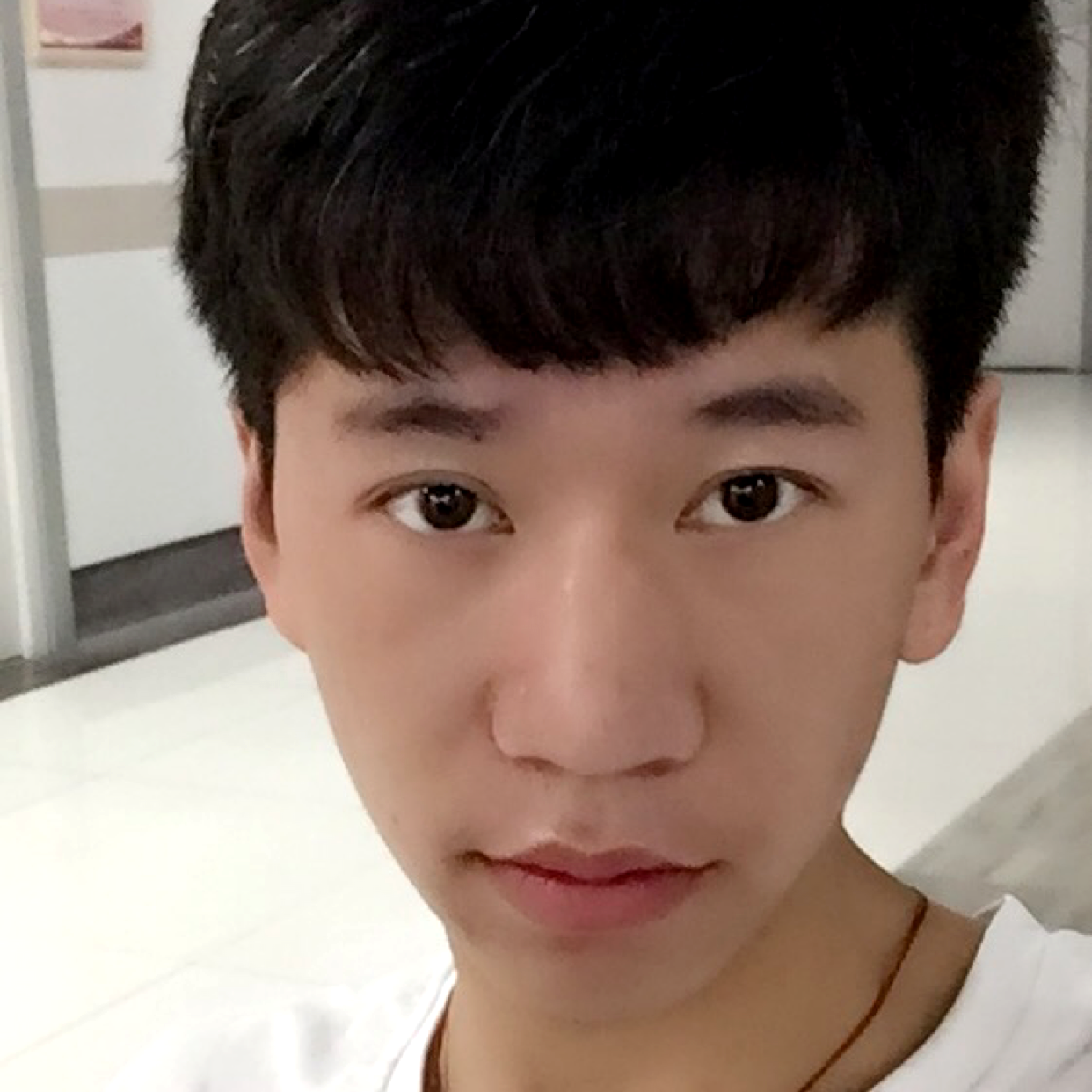 明媚扯冷月的照片