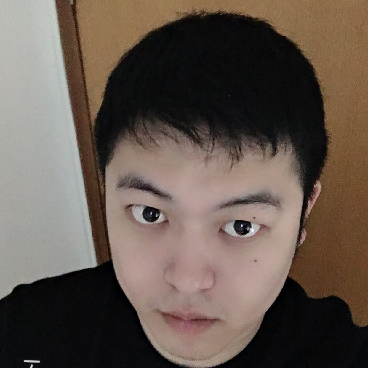 钢笔漫步大意的照片