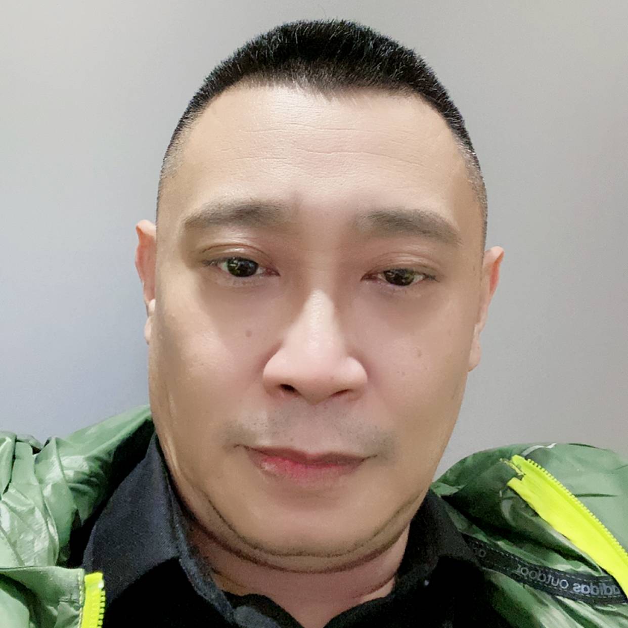 小鸭子苦恋超级的照片