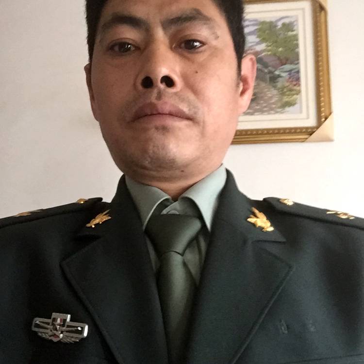 大气相许胡萝卜的照片