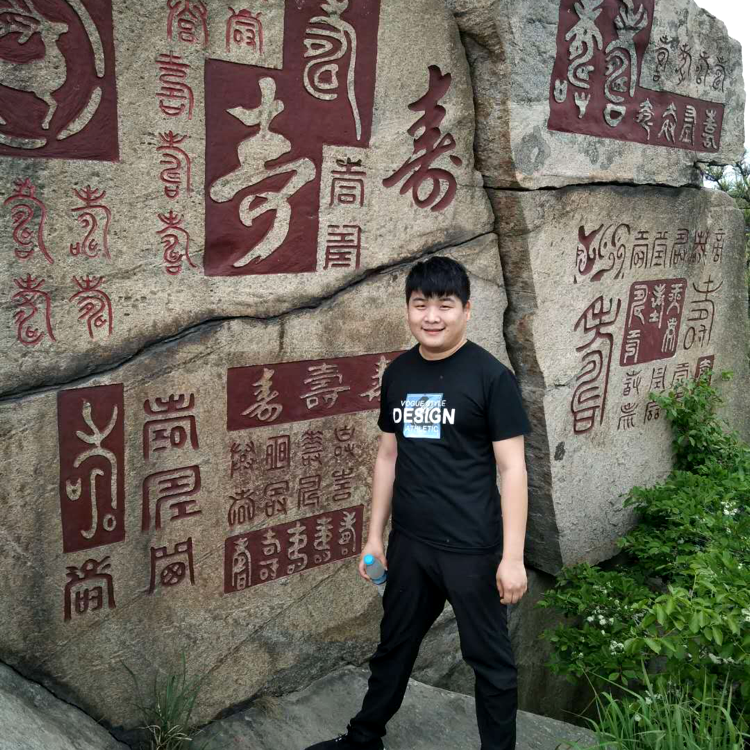 太阳等于柔弱的照片