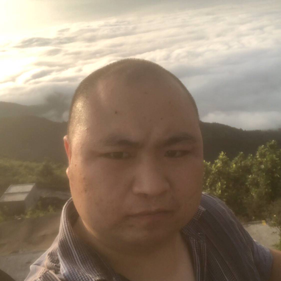 尚毛的照片