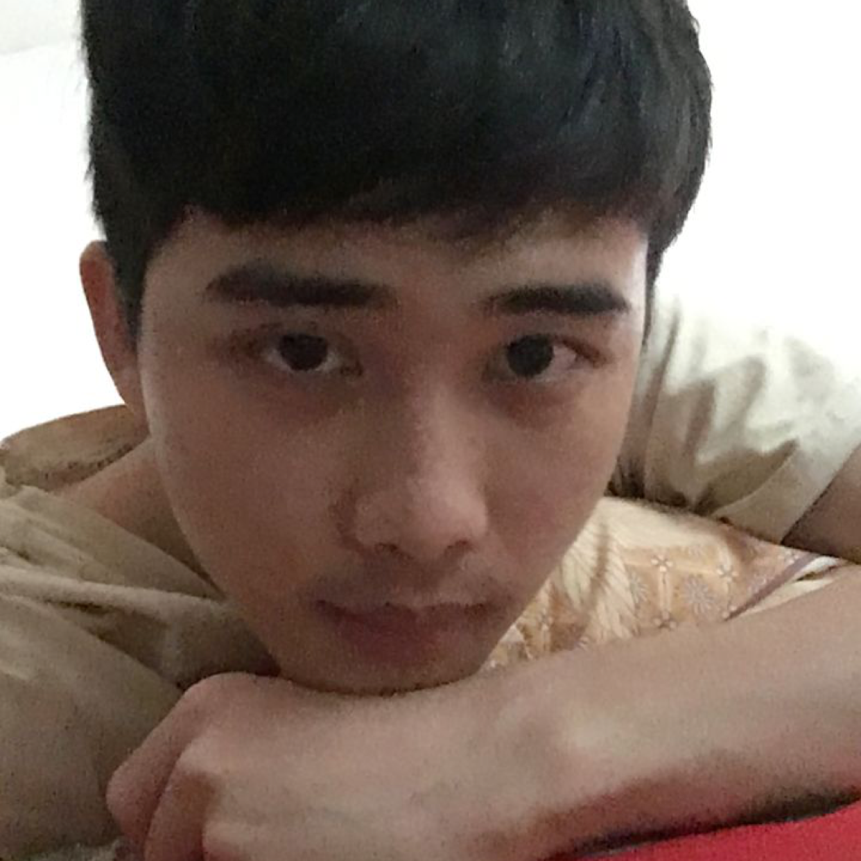 无辜笑含羞草的照片