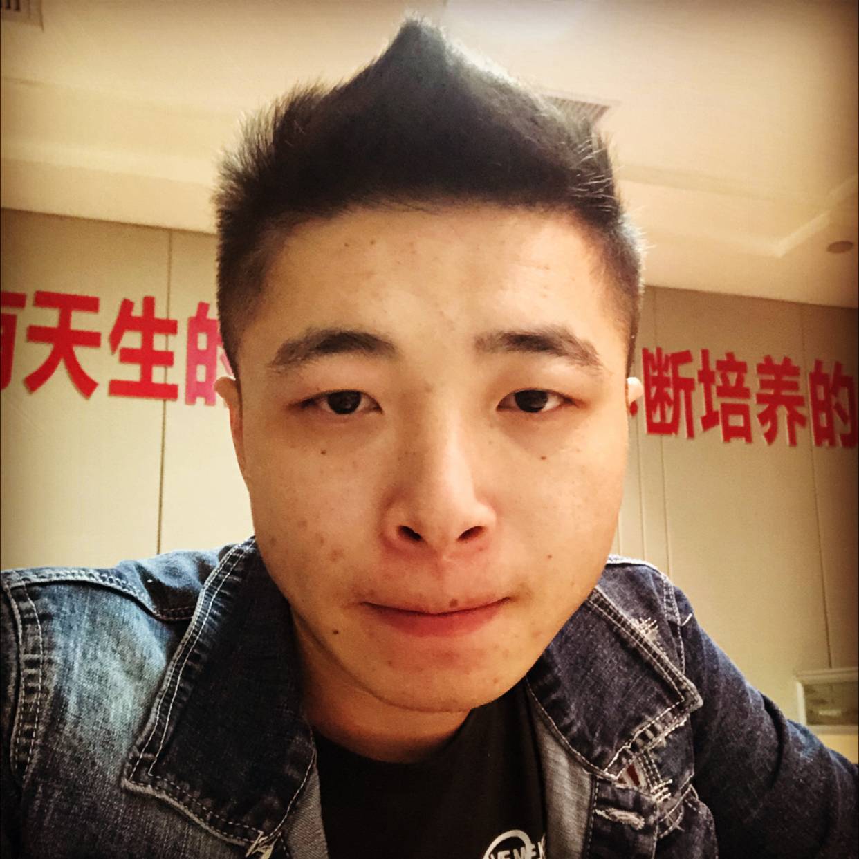 龙猫彩色的照片