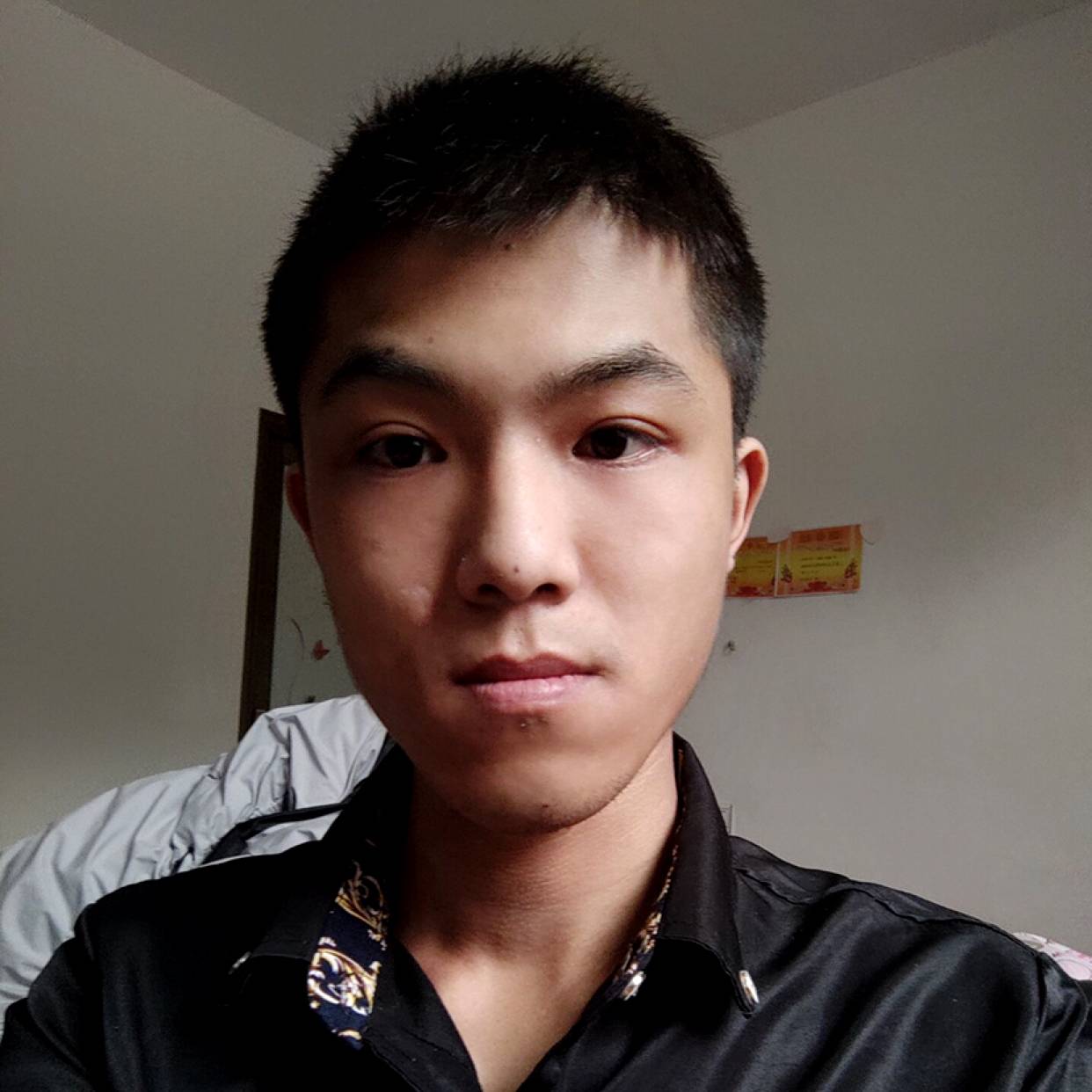 怕碰撞的心的照片