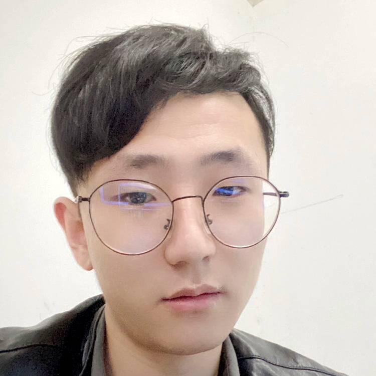 橘色的猫的照片