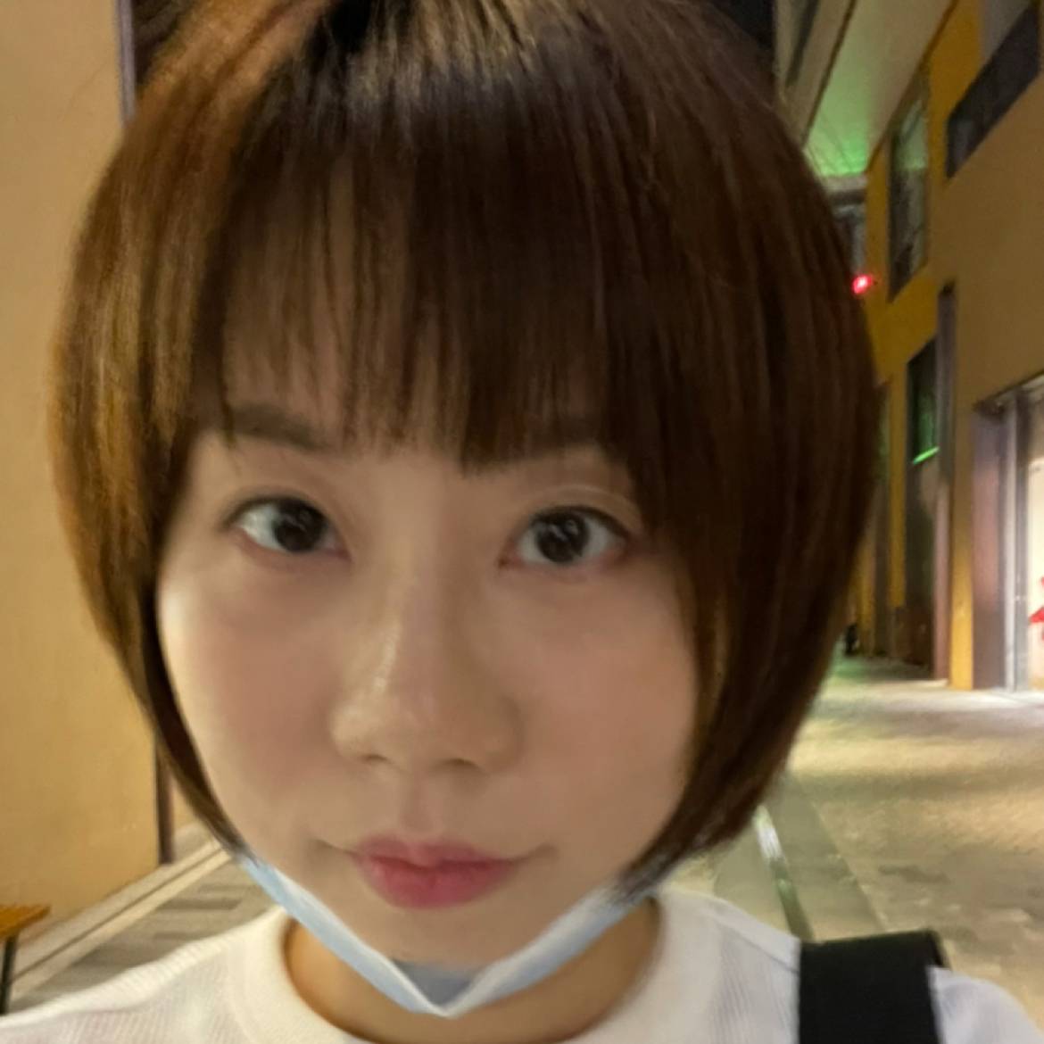 幼猫的照片