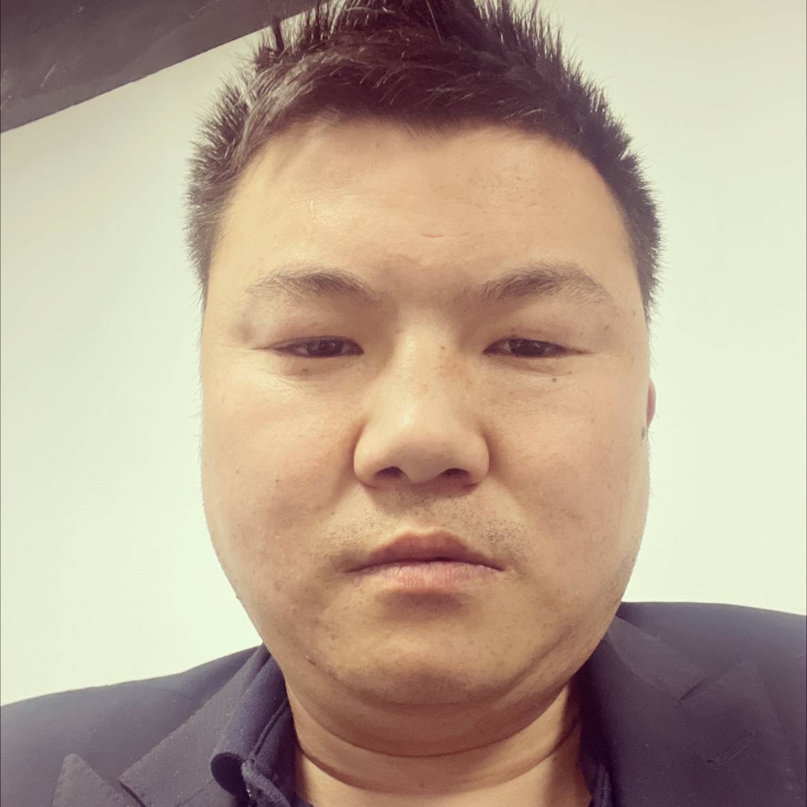 刺猬請精明的照片