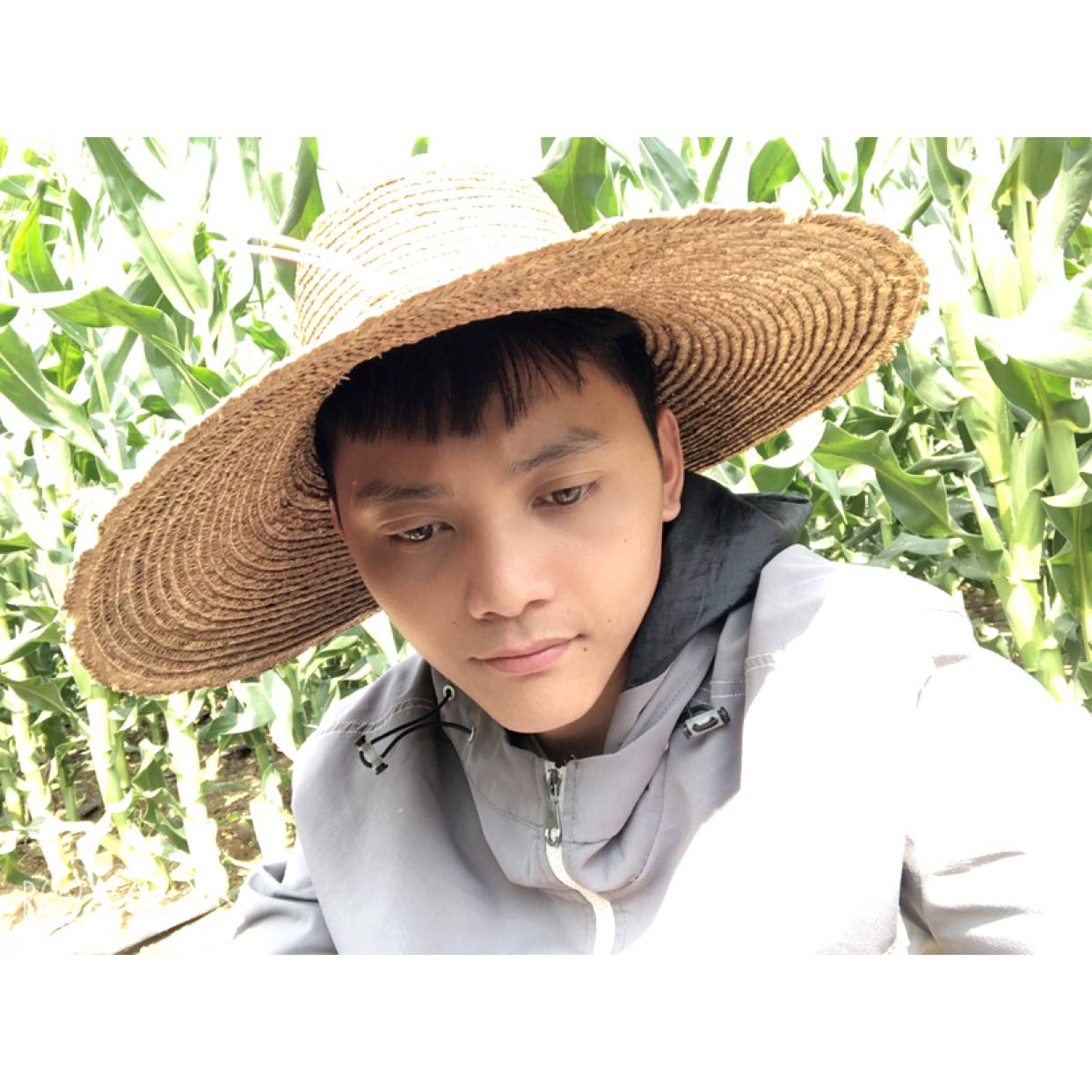 小甜瓜的能干的照片